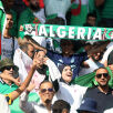 algiers