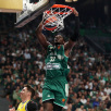 pao-fener