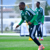 south_africa_world_cup_2026