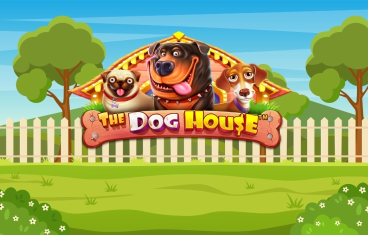 the_dog_house