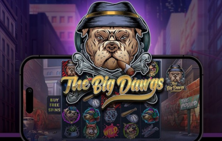 the_big_dawgs