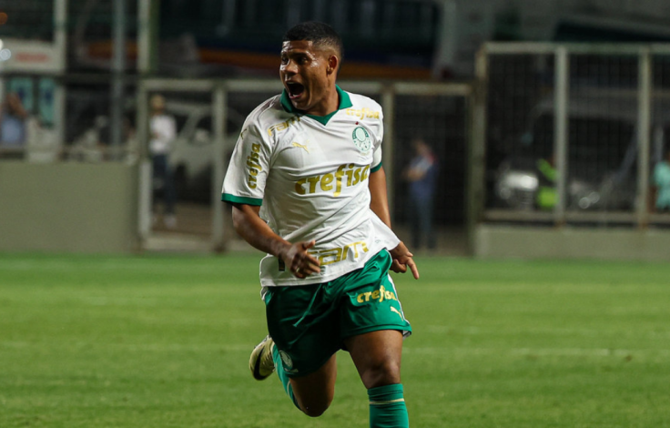 palmeiras__1_