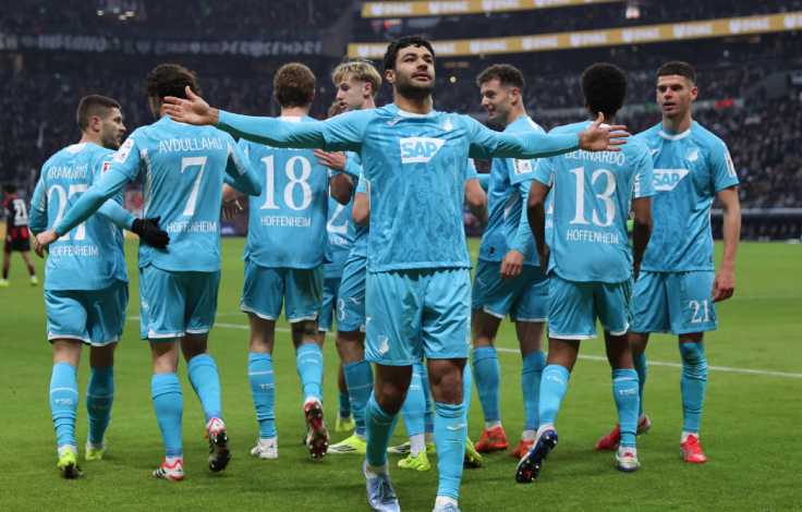 hoffenheim_bundesliga