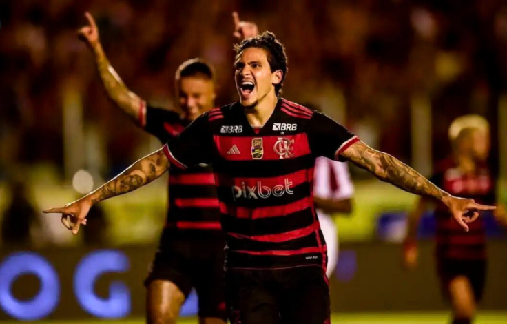 pedroflamengo1