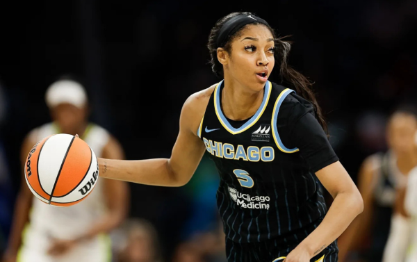 angelreesechicagoskywnba
