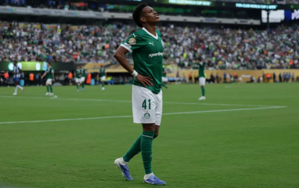 palmeiras1