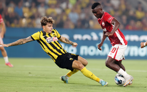 aek-seva